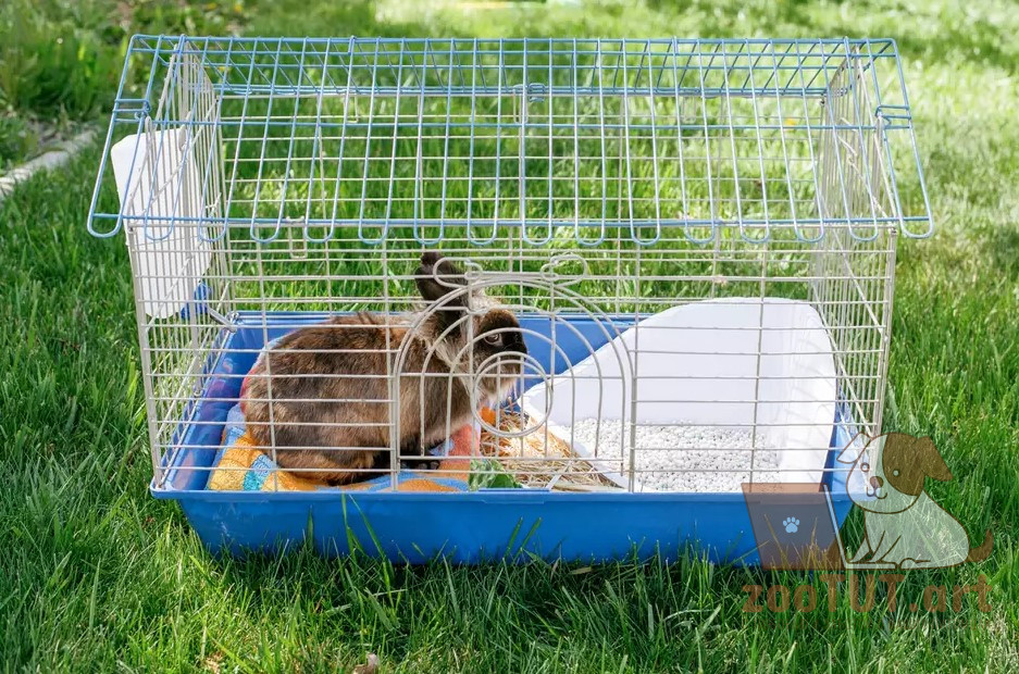 Как чистить клетку для кроликов