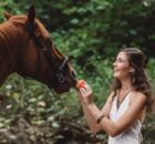 Как выбрать полезные лакомства для лошадей