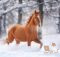 Как ухаживать за лошадьми зимой