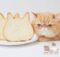 Можно ли давать кошке хлеб
